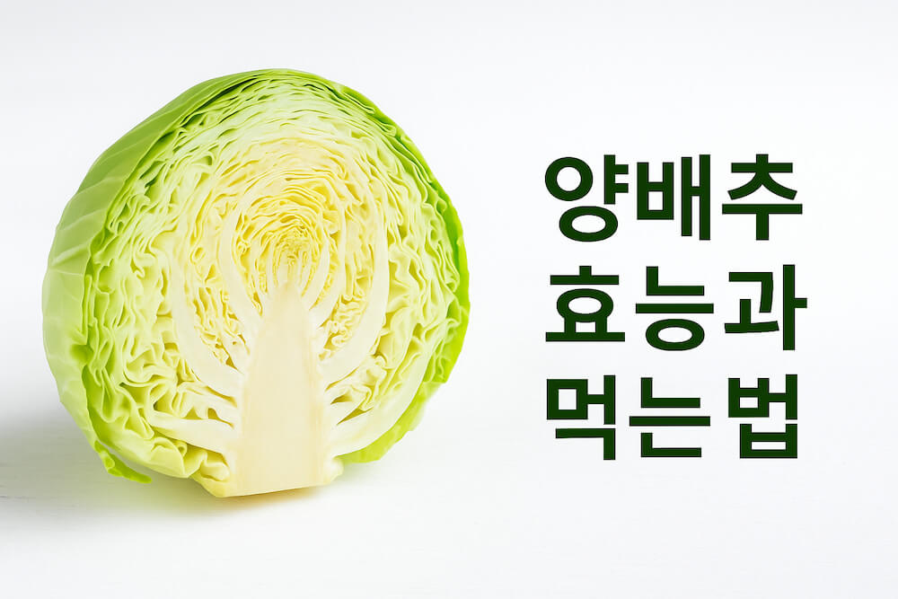 양배추 효능과 먹는 법 건강 가이드