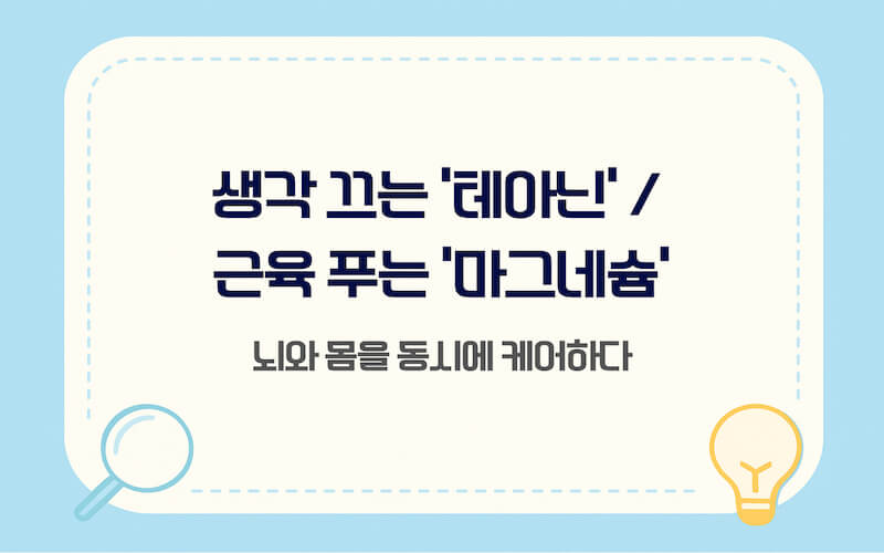 뇌 긴장을 완화하는 테아닌과 근육을 이완하는 마그네슘 효능 비교